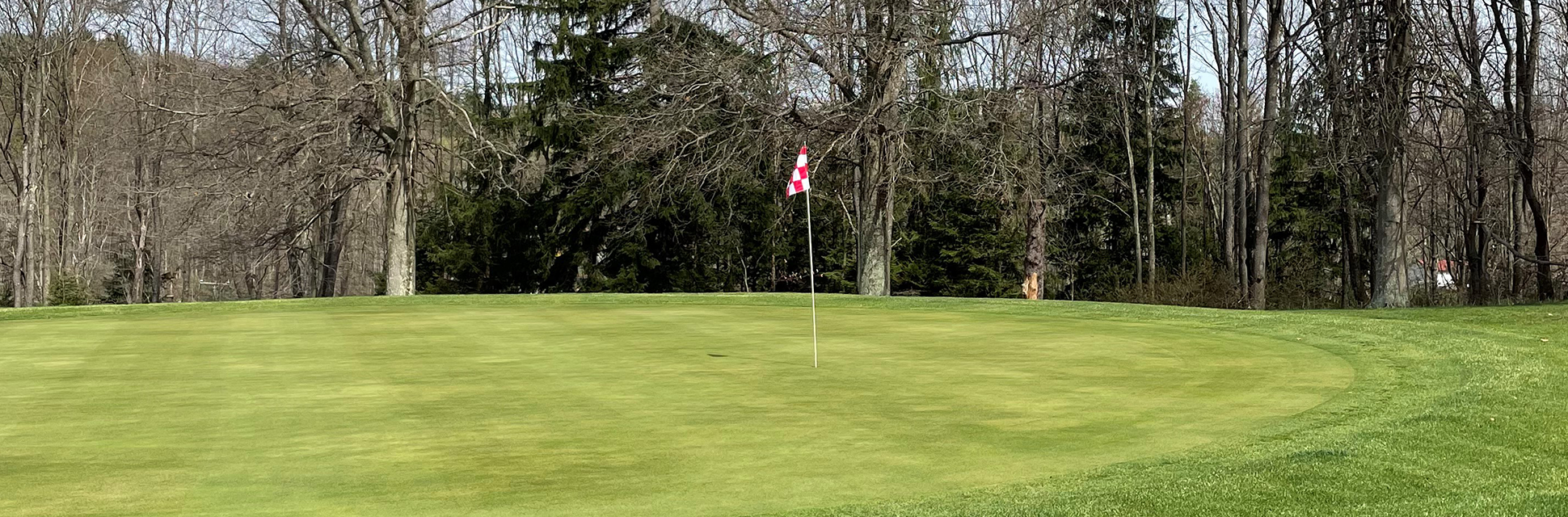 course green with flag